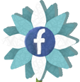 Like us on Facebook!